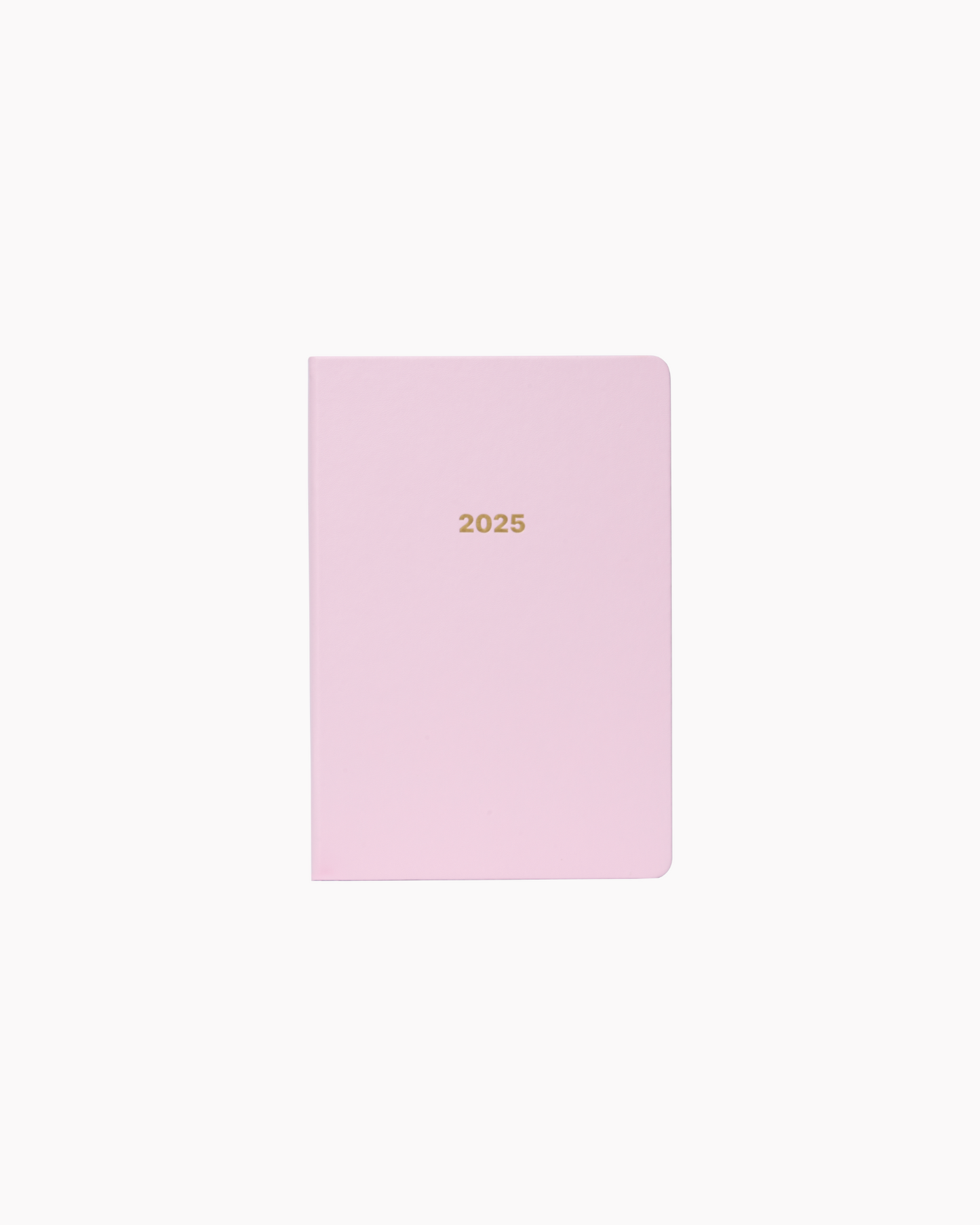 Dated 2025 Planner in Blush