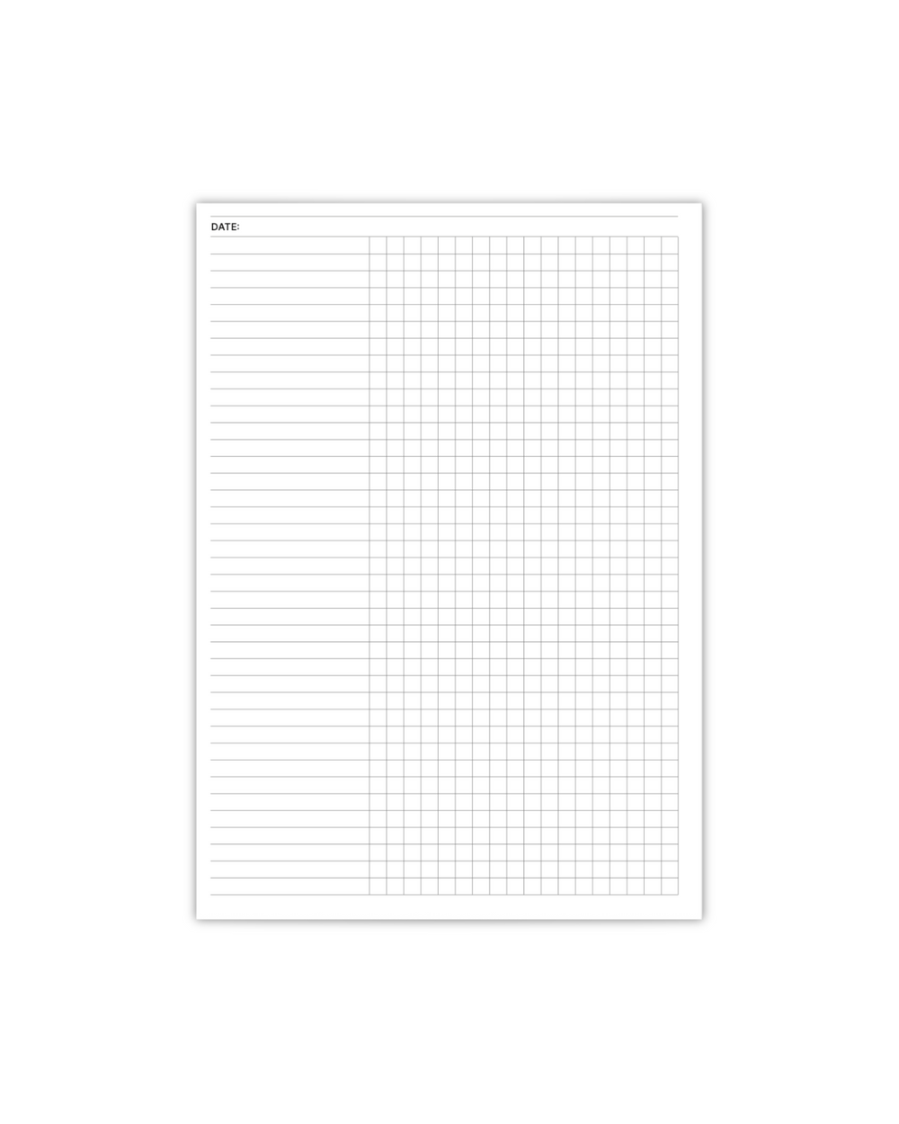 Focus Notes Notebook Insert