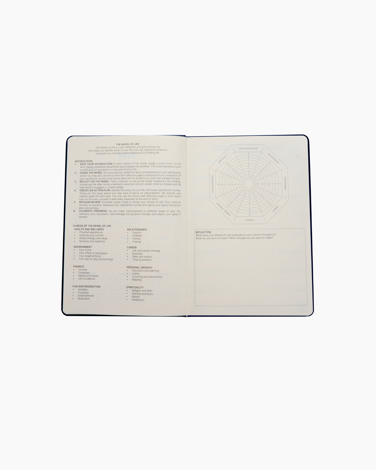 Dated 2025 Planner in Blush