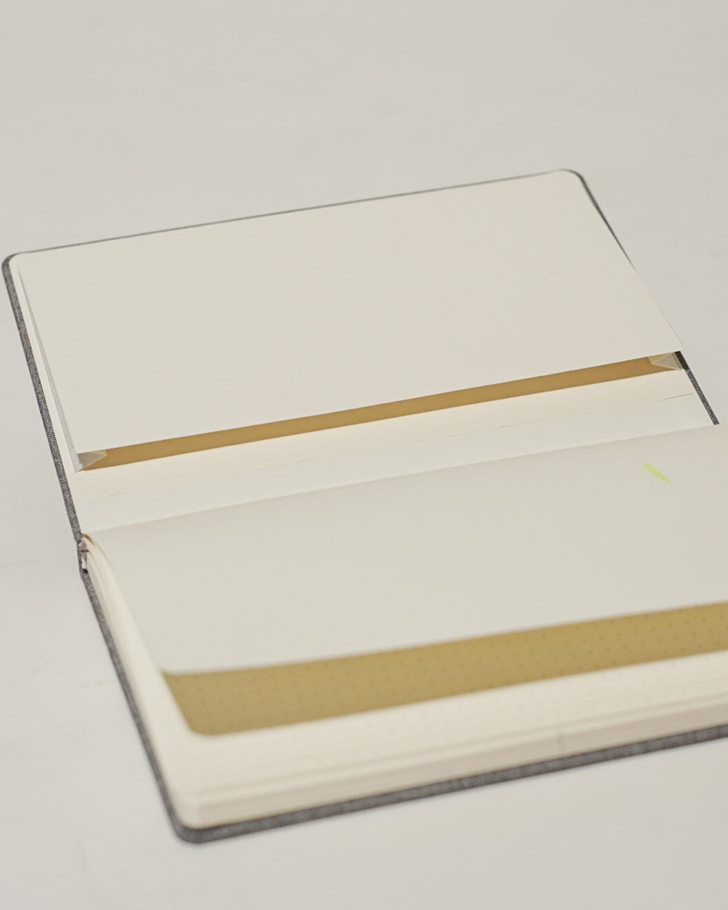 Journal in Lime