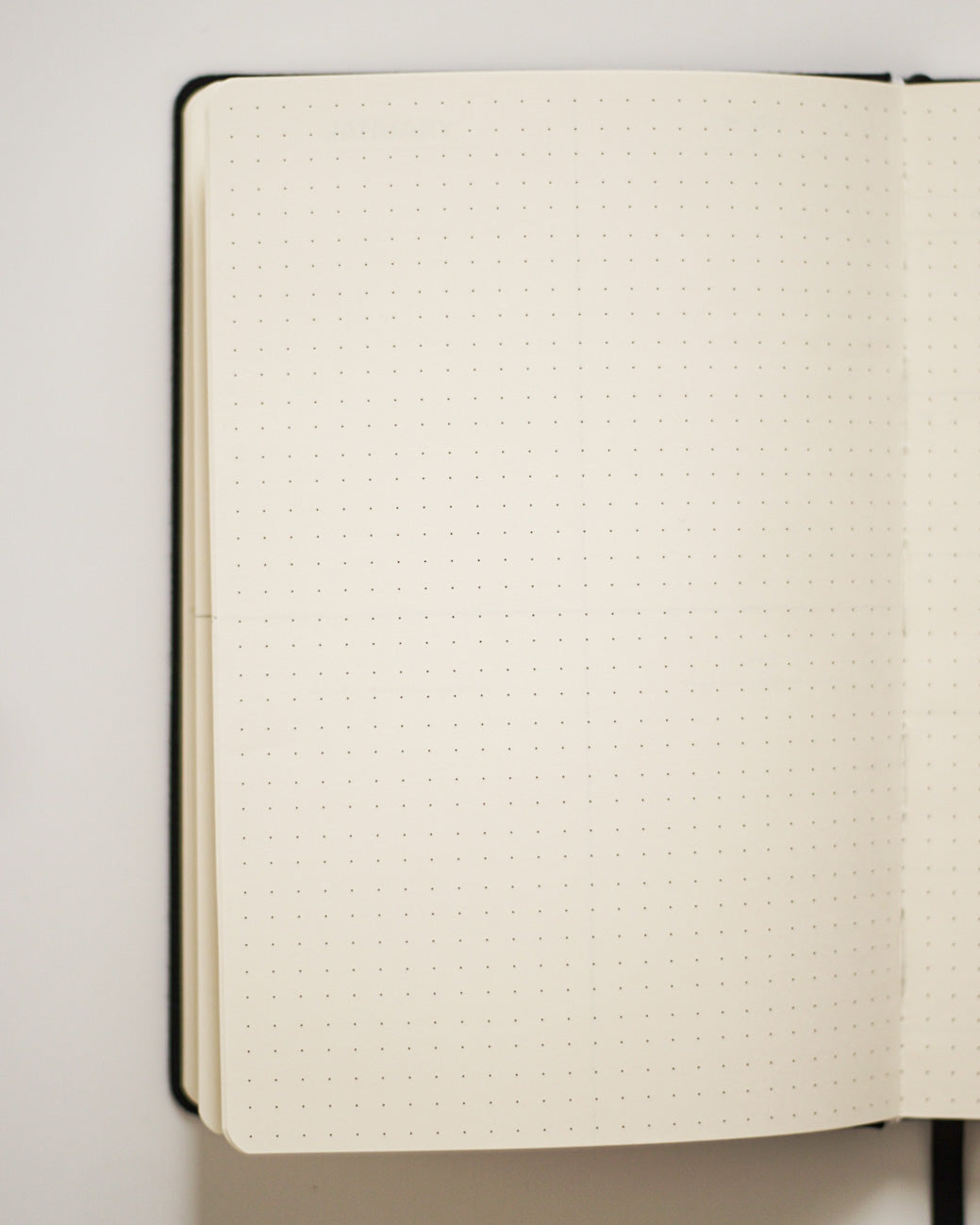 Journal in Lime