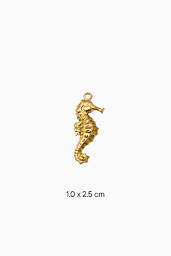 Solasta Charms