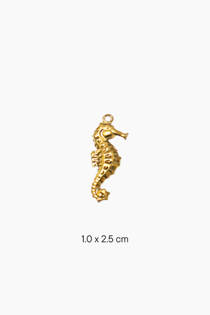 Solasta Charms