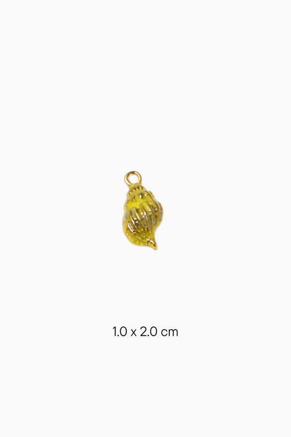Solasta Charms